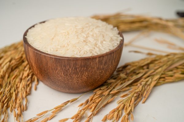 Rice Protein